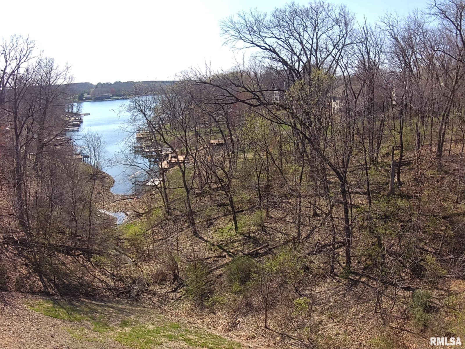 23 OAK POINT Court Dahinda IL
