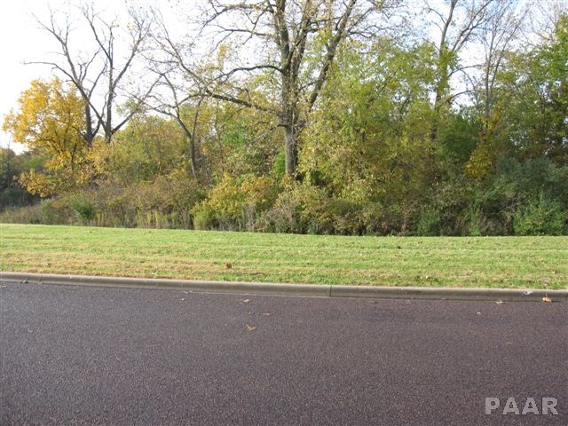 Lot 17 GRACE Lane Edwards IL