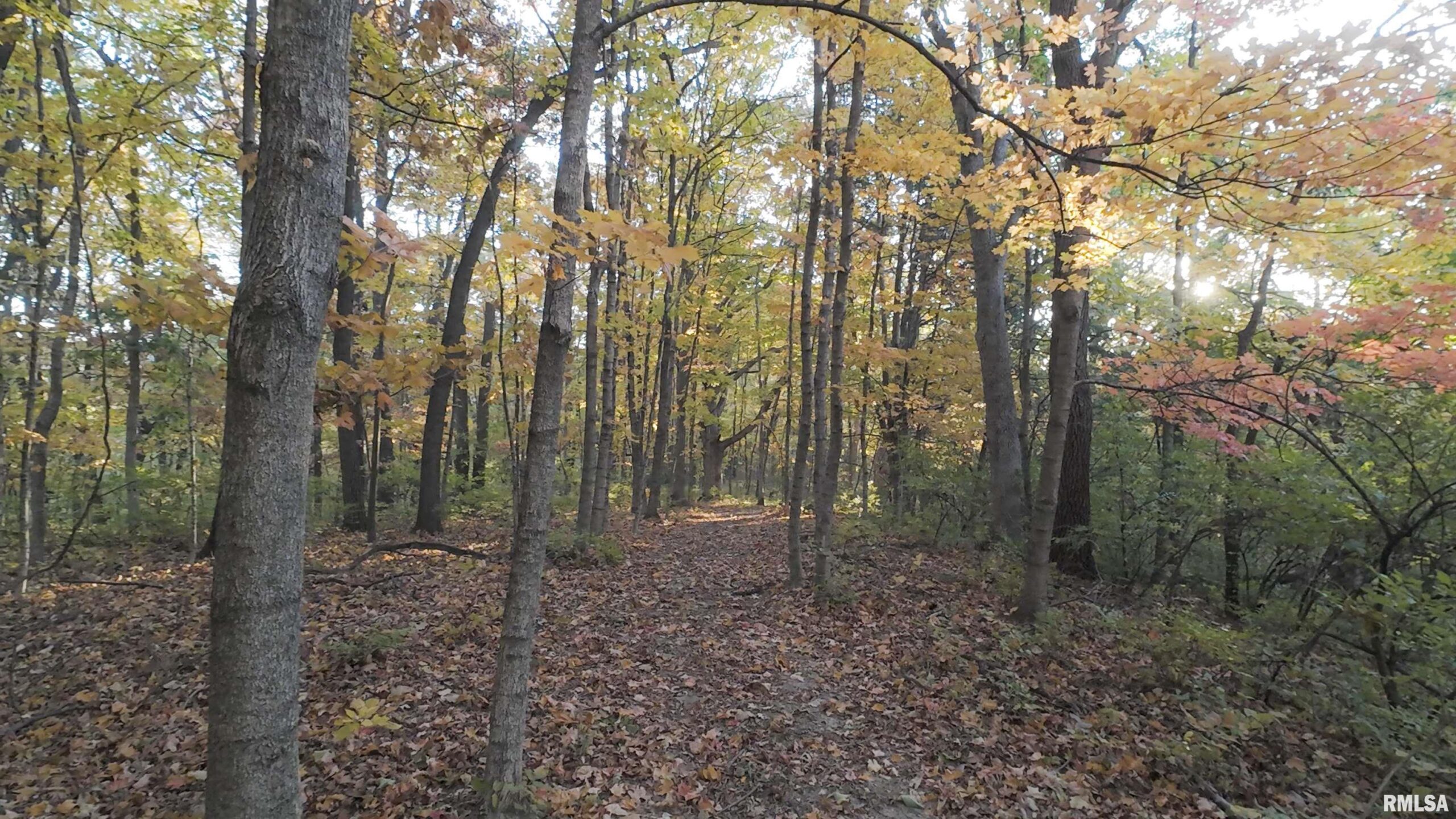 000 W SINGING WOODS Road Edelstein IL