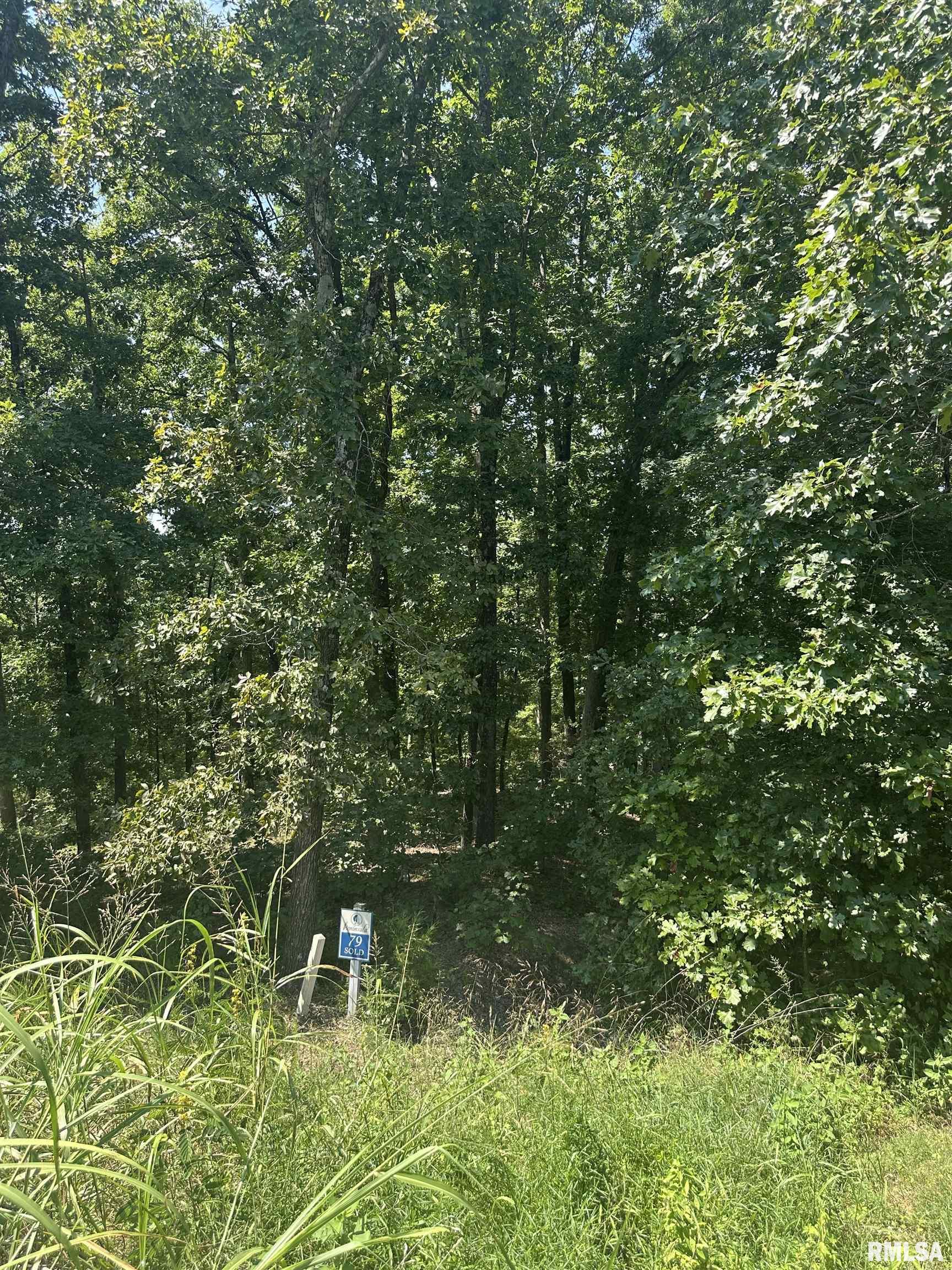 00 HAWTHORNE Point Goreville IL