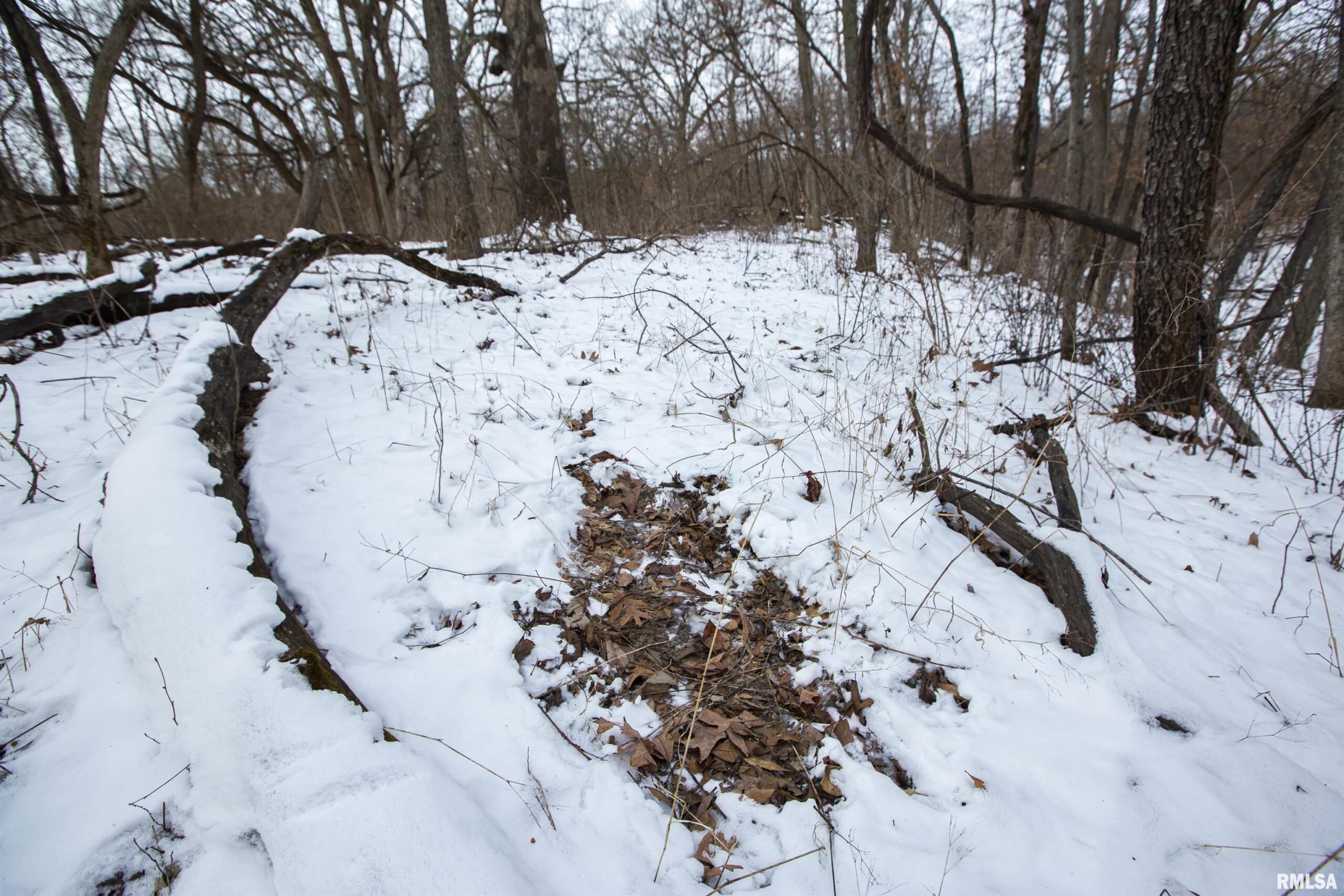 0000 KRAMM Road Brimfield IL