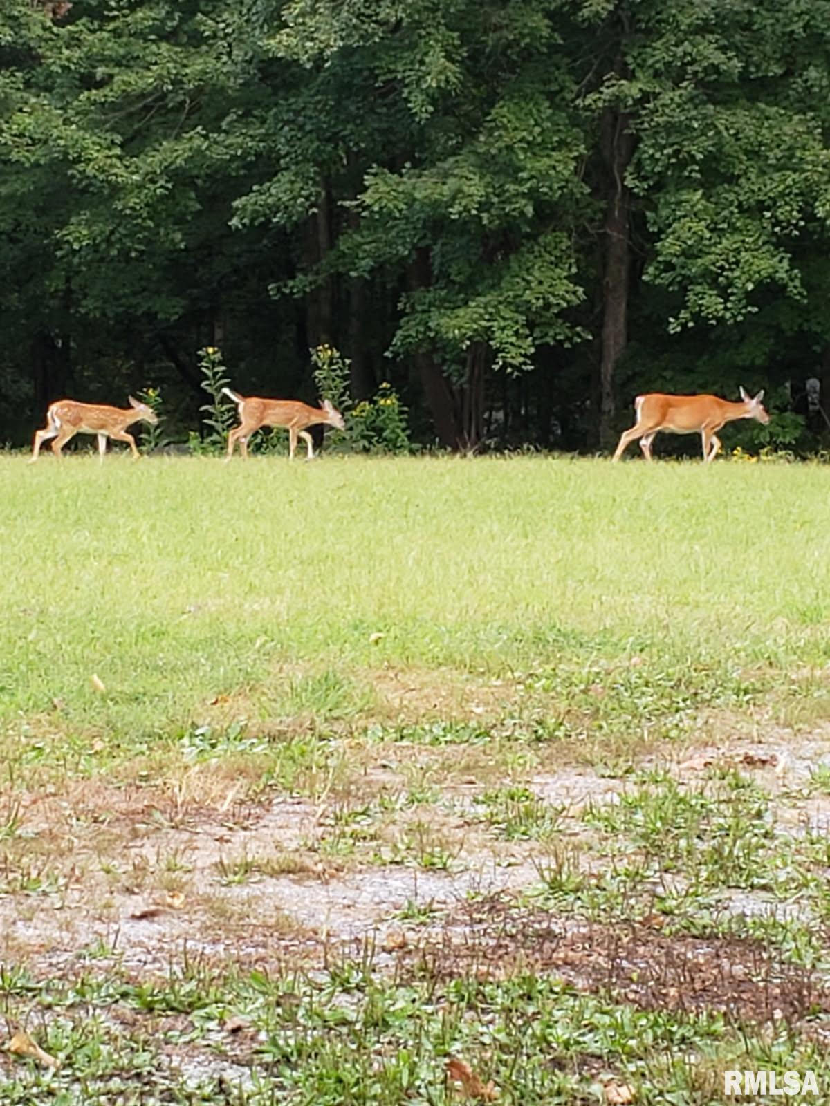 880 S Rocky Comfort Road Makanda IL