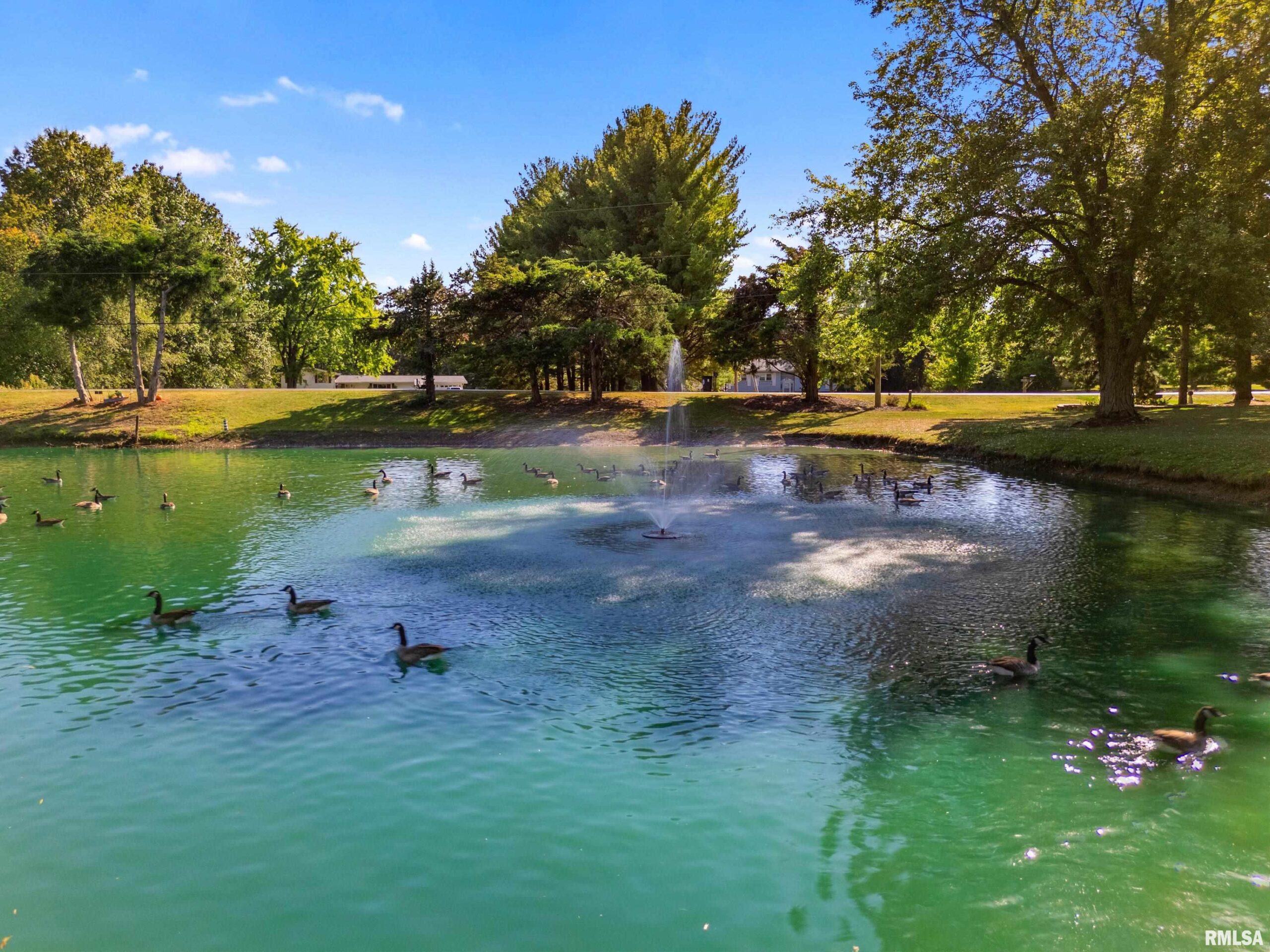 1072 Joni Drive Knoxville IL