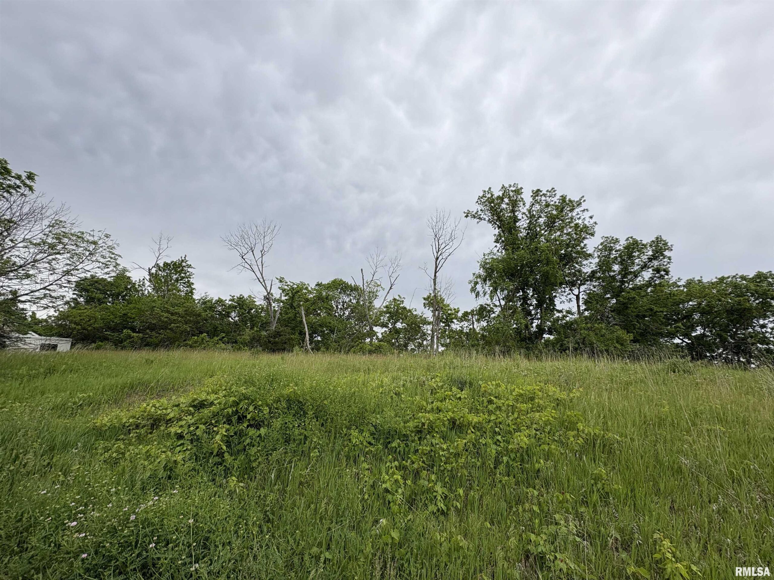Lot 20 DEER BLUFFS Drive Chillicothe IL