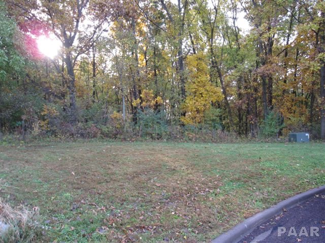 Lot 25 SCHMITT Lane Edwards IL
