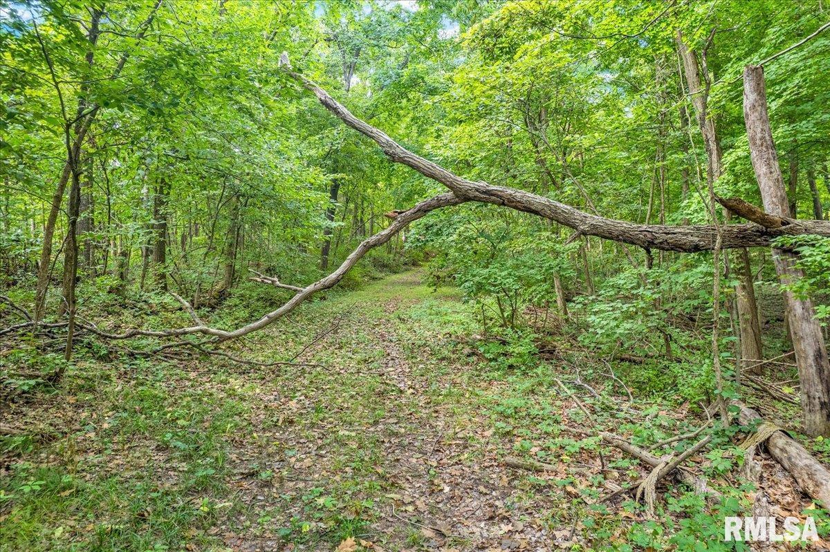 N IVY LAKE Road Chillicothe IL