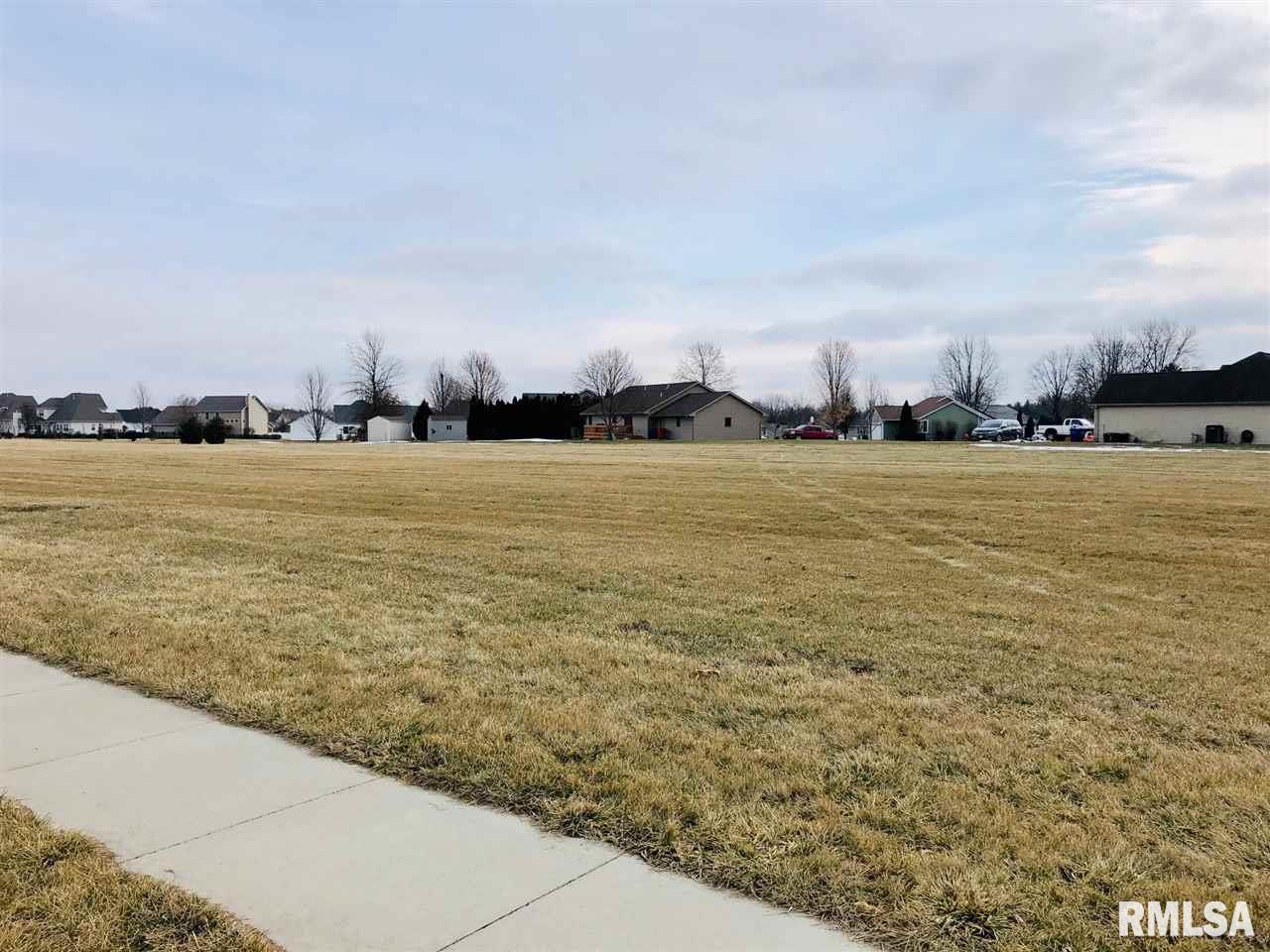 LOT 40 FAIRGROUND Drive Elmwood IL