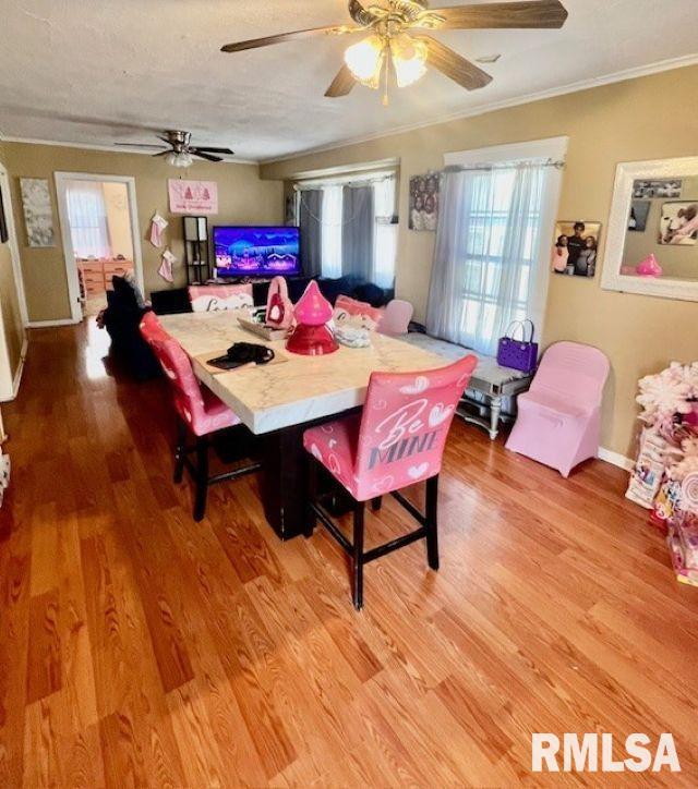 1207 W MCCLURE Avenue Peoria IL