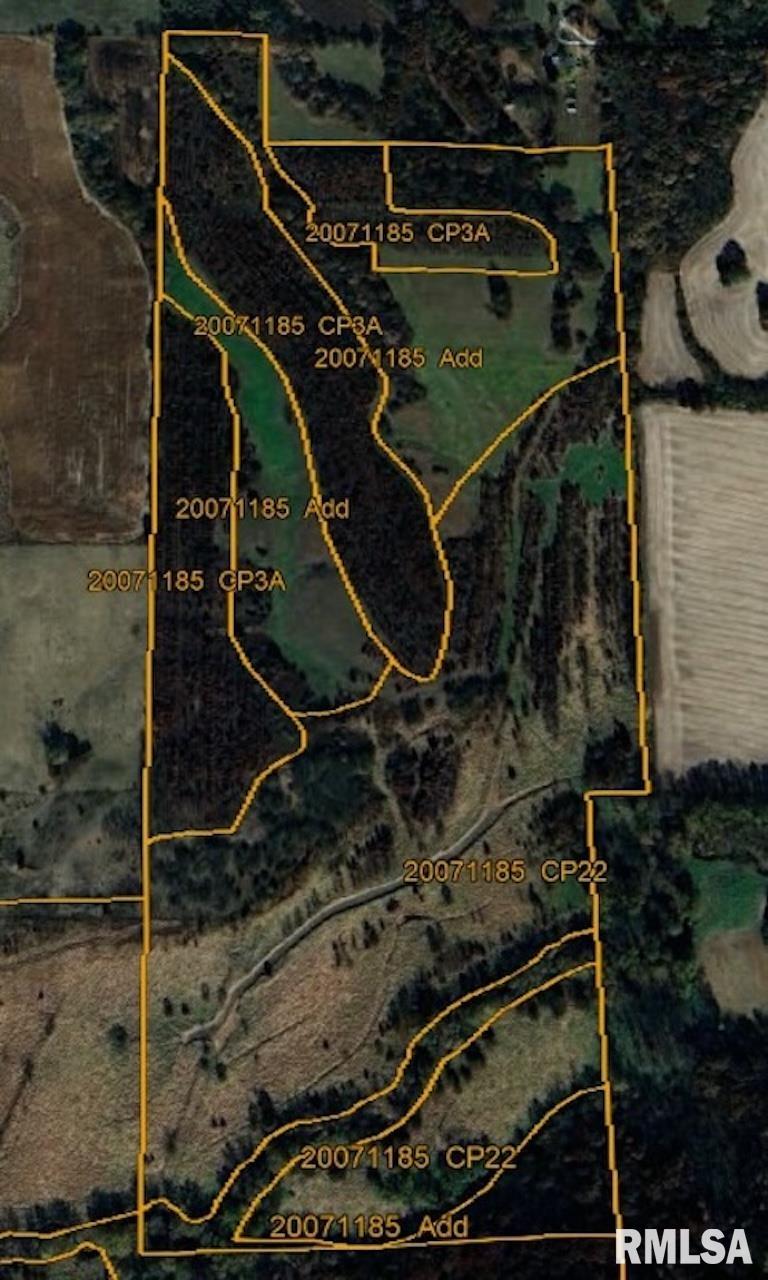 CHAMPAIGN Road Colchester IL