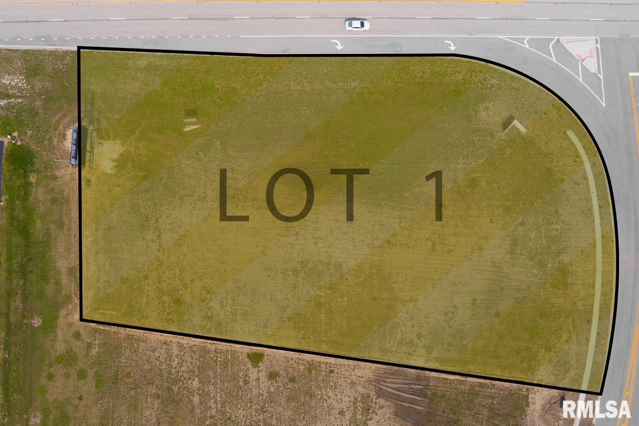 Lot 1 ROUTE 29 Taylorville IL