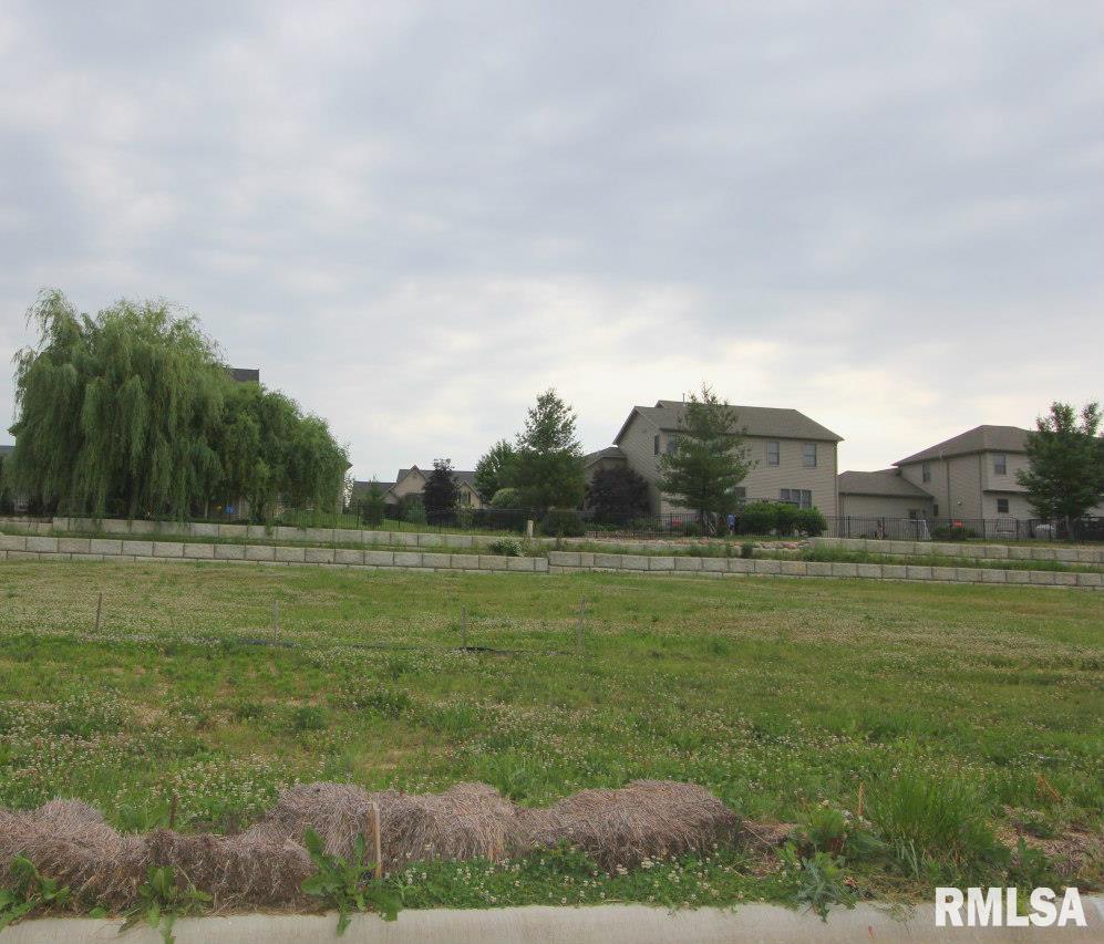 6816 N Water Oak Drive Edwards IL