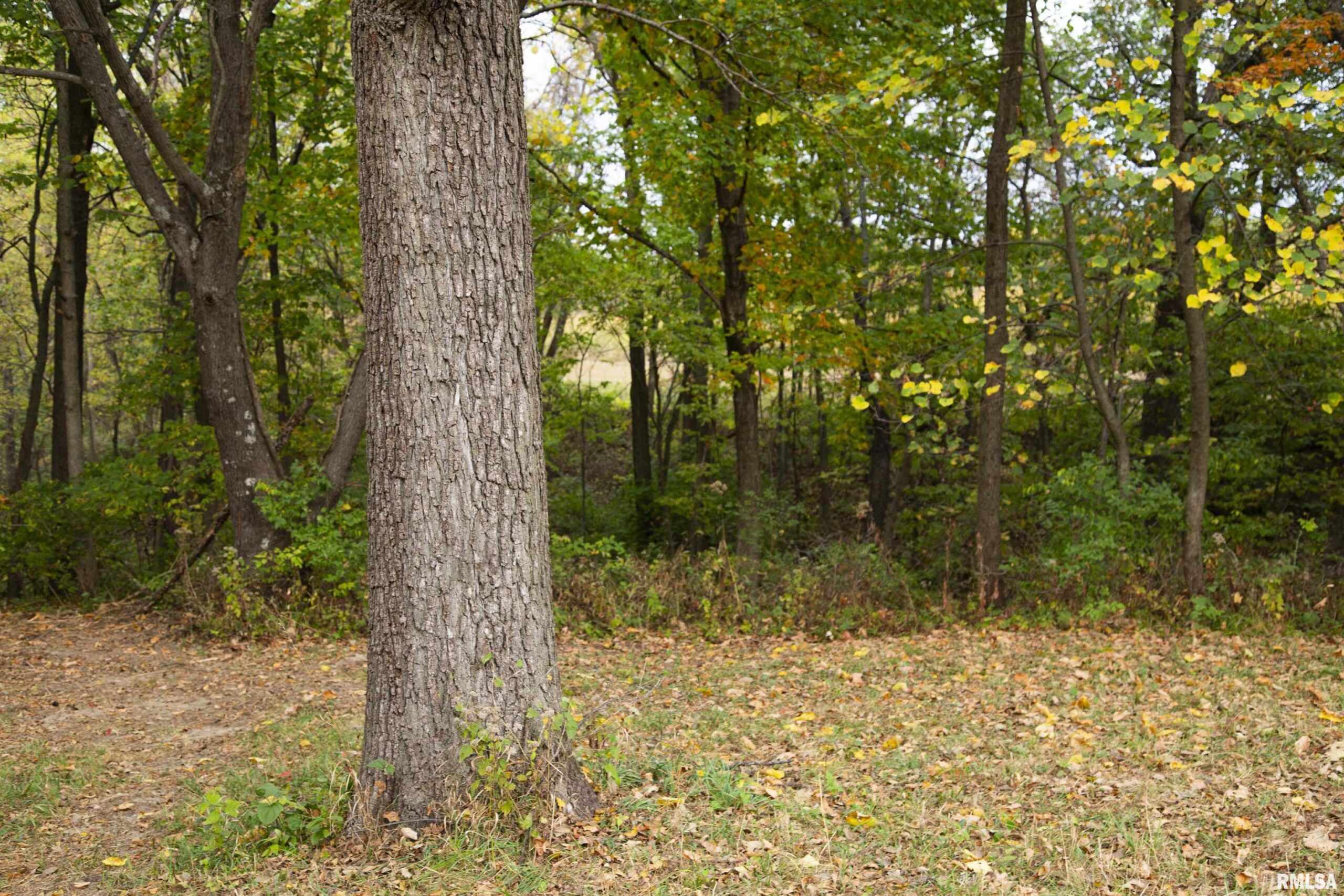 1066 County Road 1150 N Road Henry IL