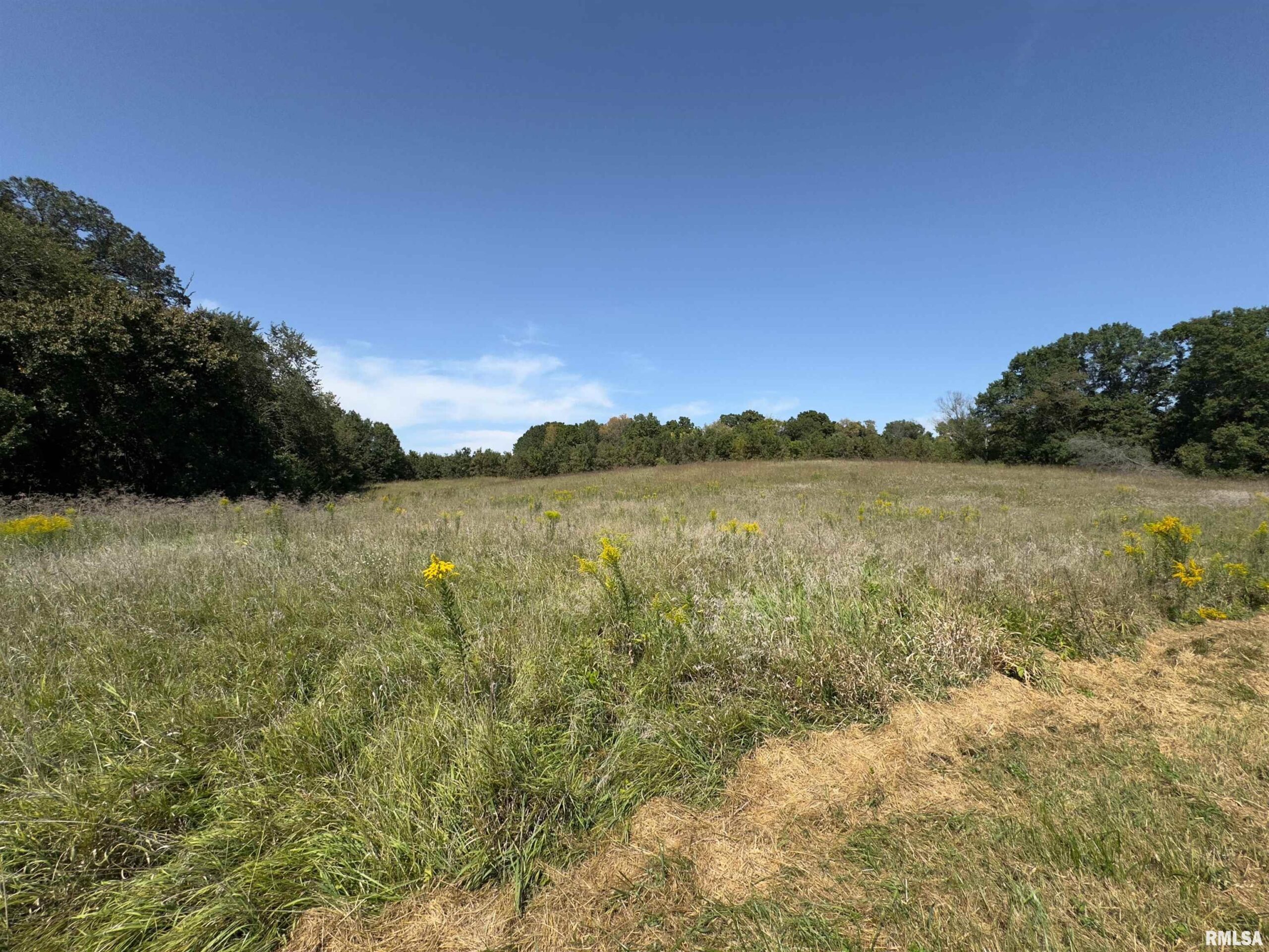 CHAMPAIGN Road Colchester IL