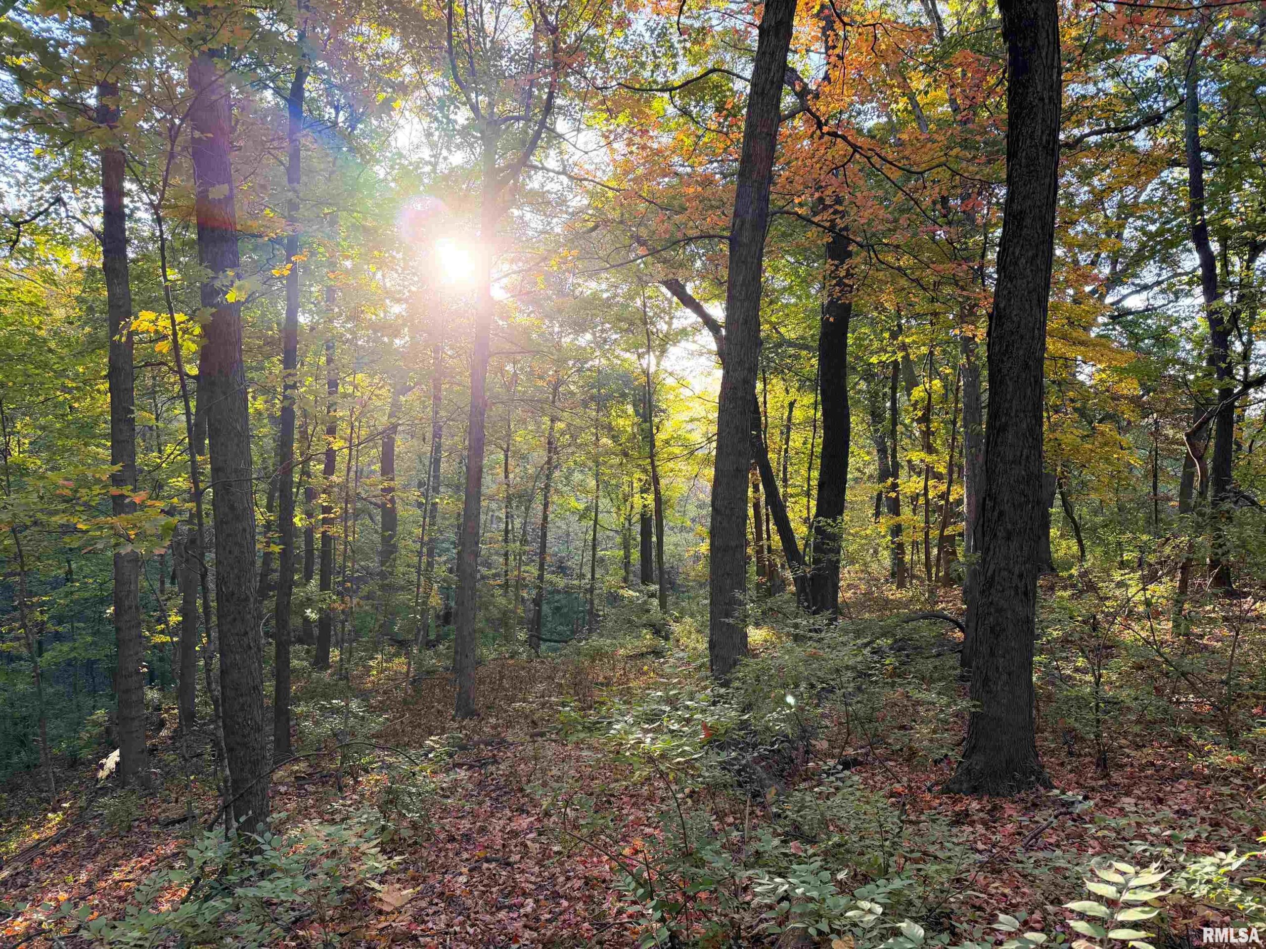 000 W SINGING WOODS Road Dunlap IL