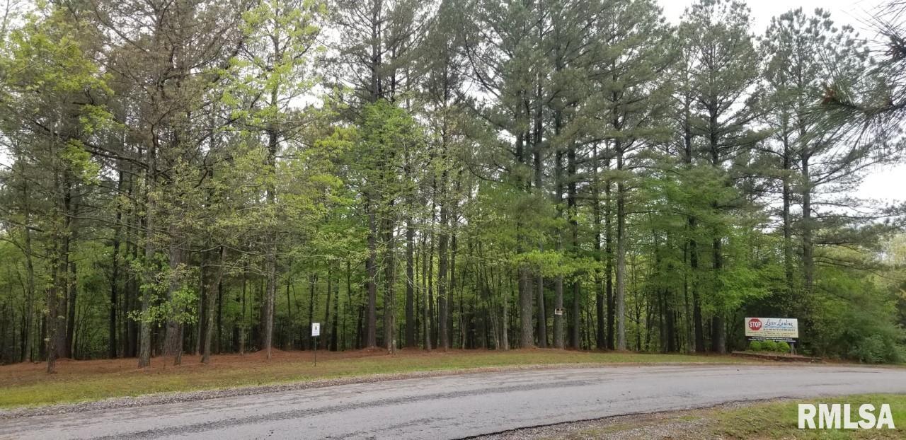 Lot 41 Luxor Landing Lane Goreville IL