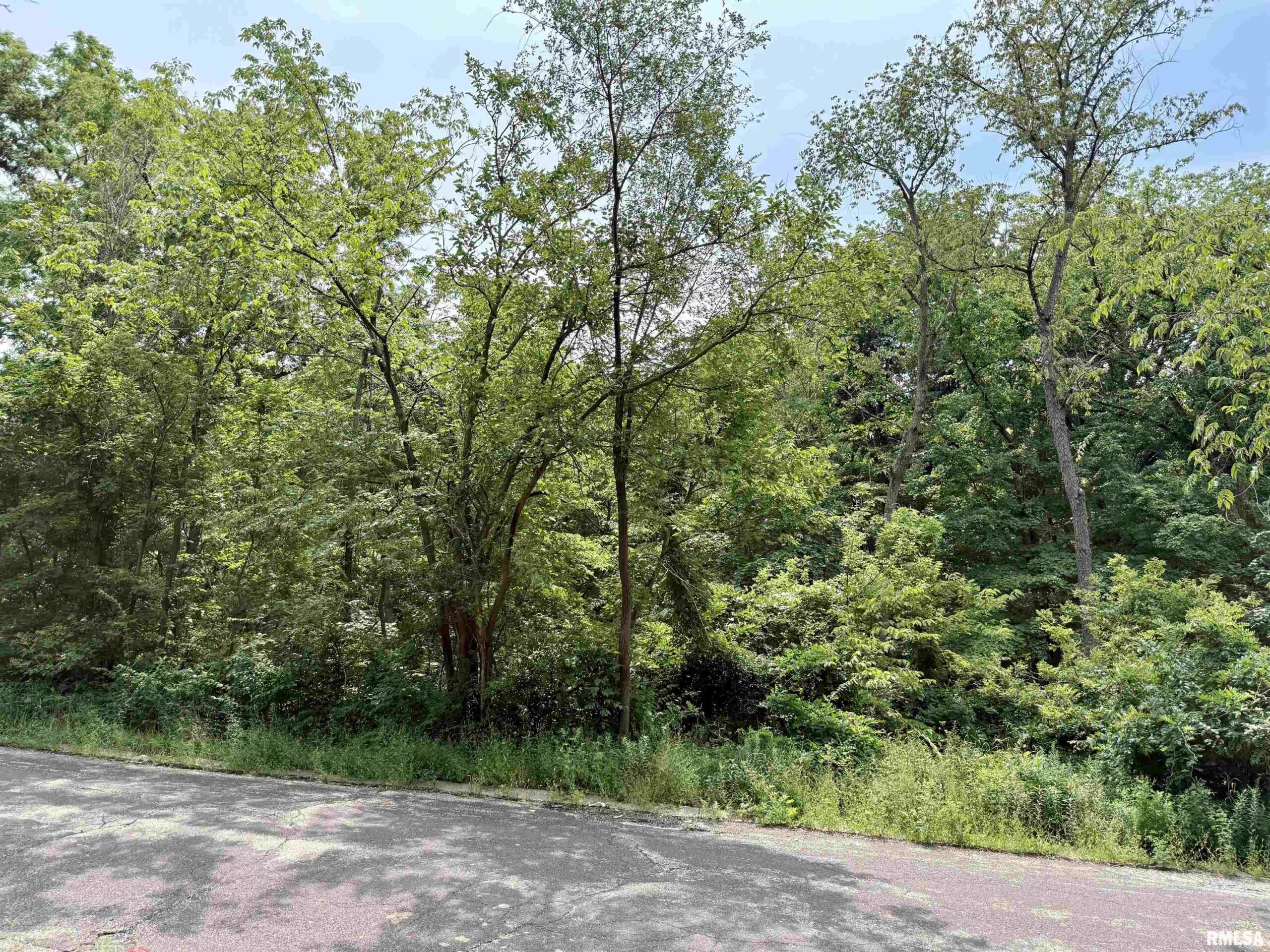 106 MAYWOOD Avenue Creve Coeur IL