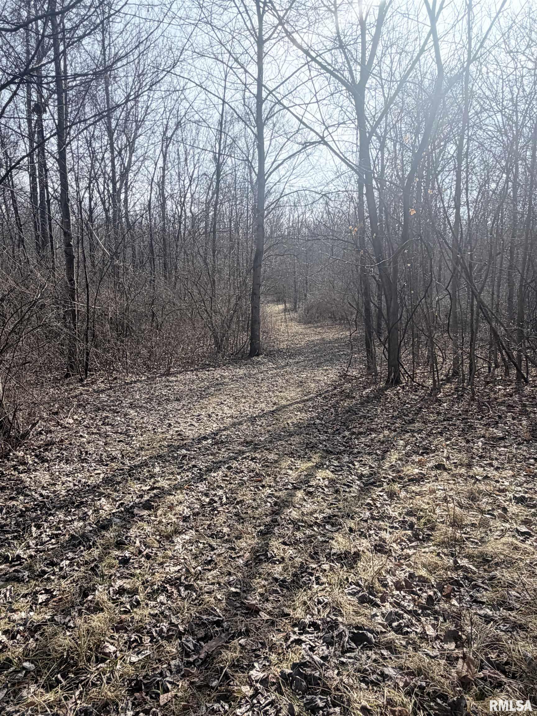 4120-4319 N 925th Street Paris IL