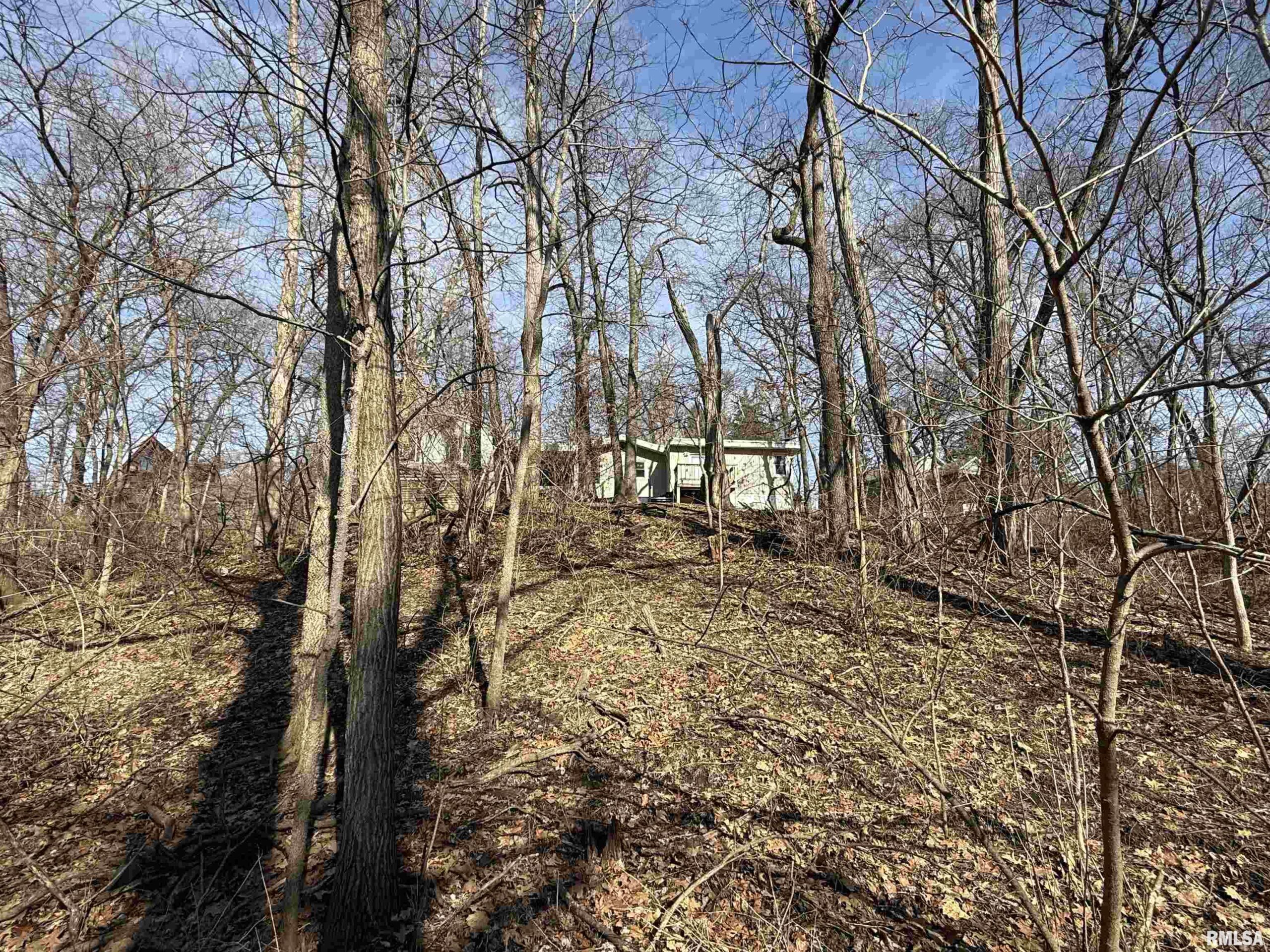 100 THRUSH Avenue Pekin IL