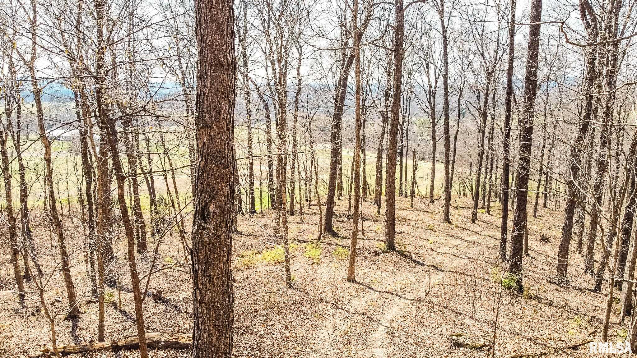 TBD Berryville Road Jonesboro IL