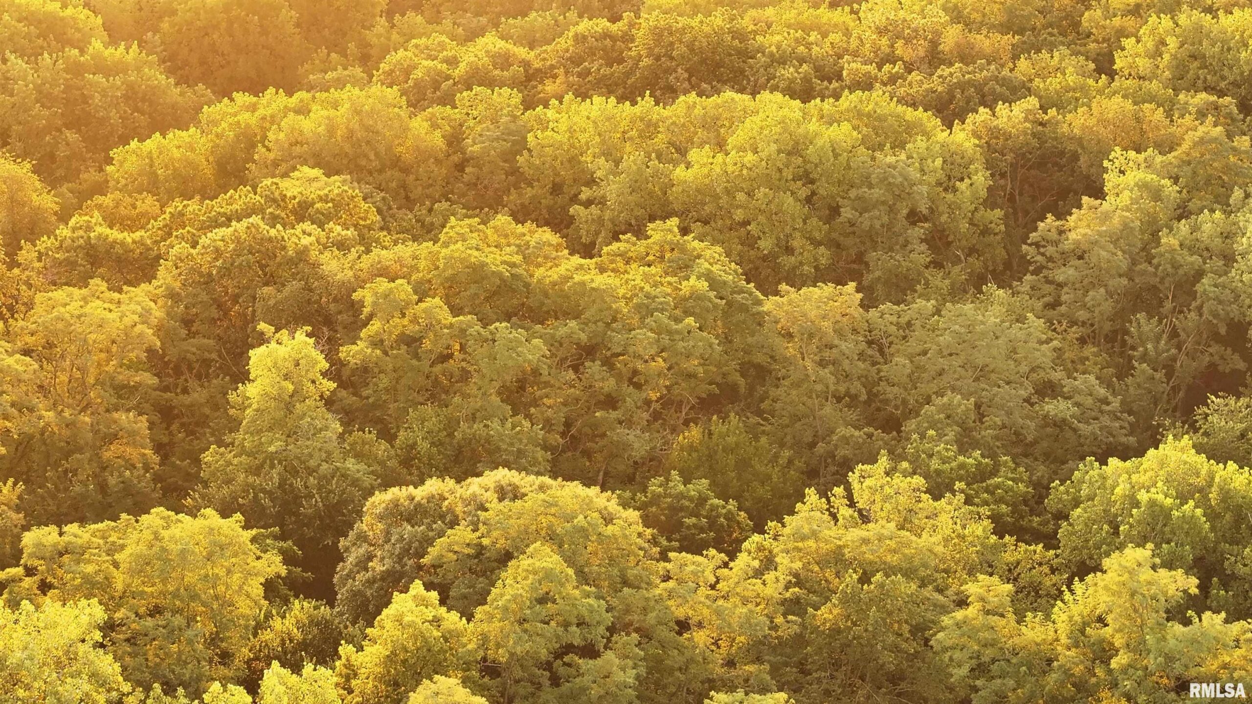 000 SHERWOOD Road Dahinda IL