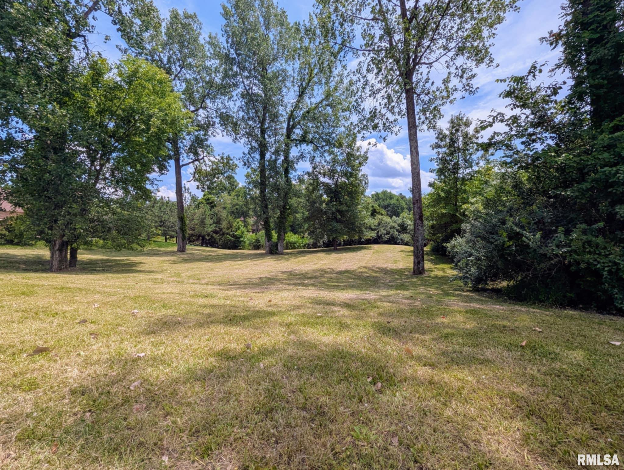 69 David Livingstone Drive Carterville IL