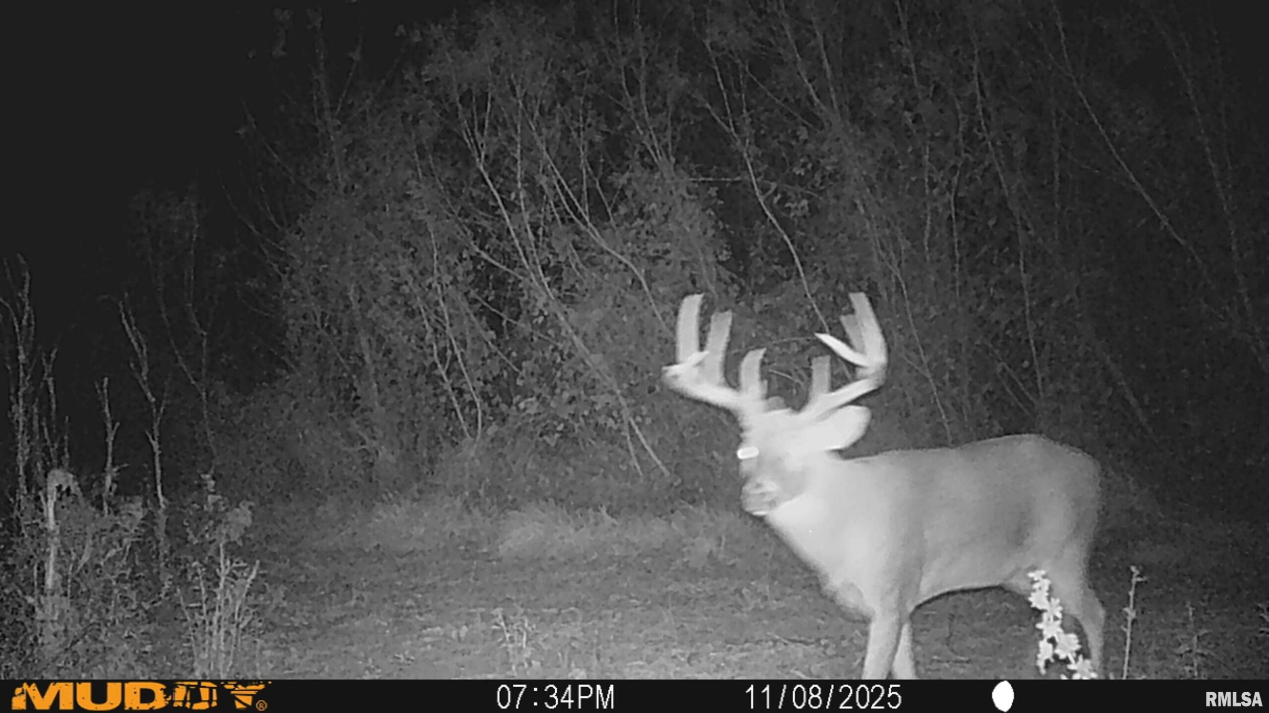 2865 E Lim Long Lane Nebo IL