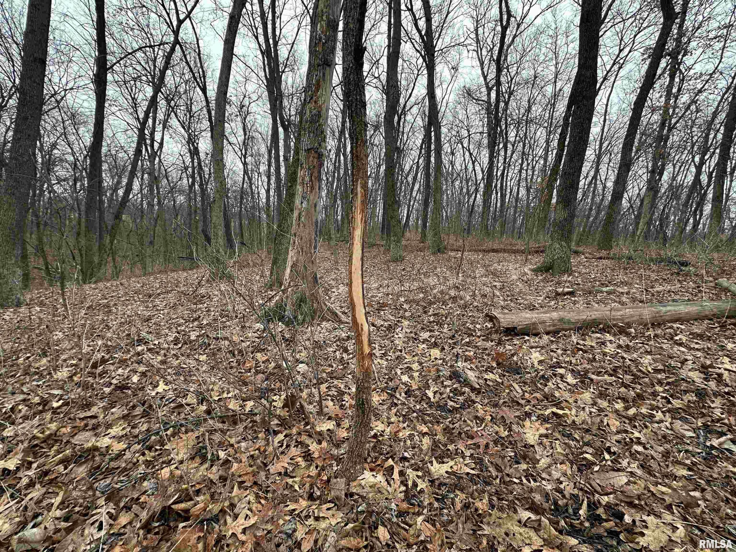 0 N SEVEN HILLS Road Avon IL