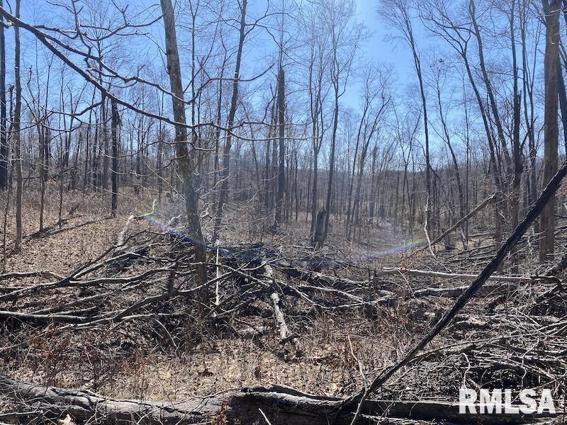 E 1950TH Road Dennison IL