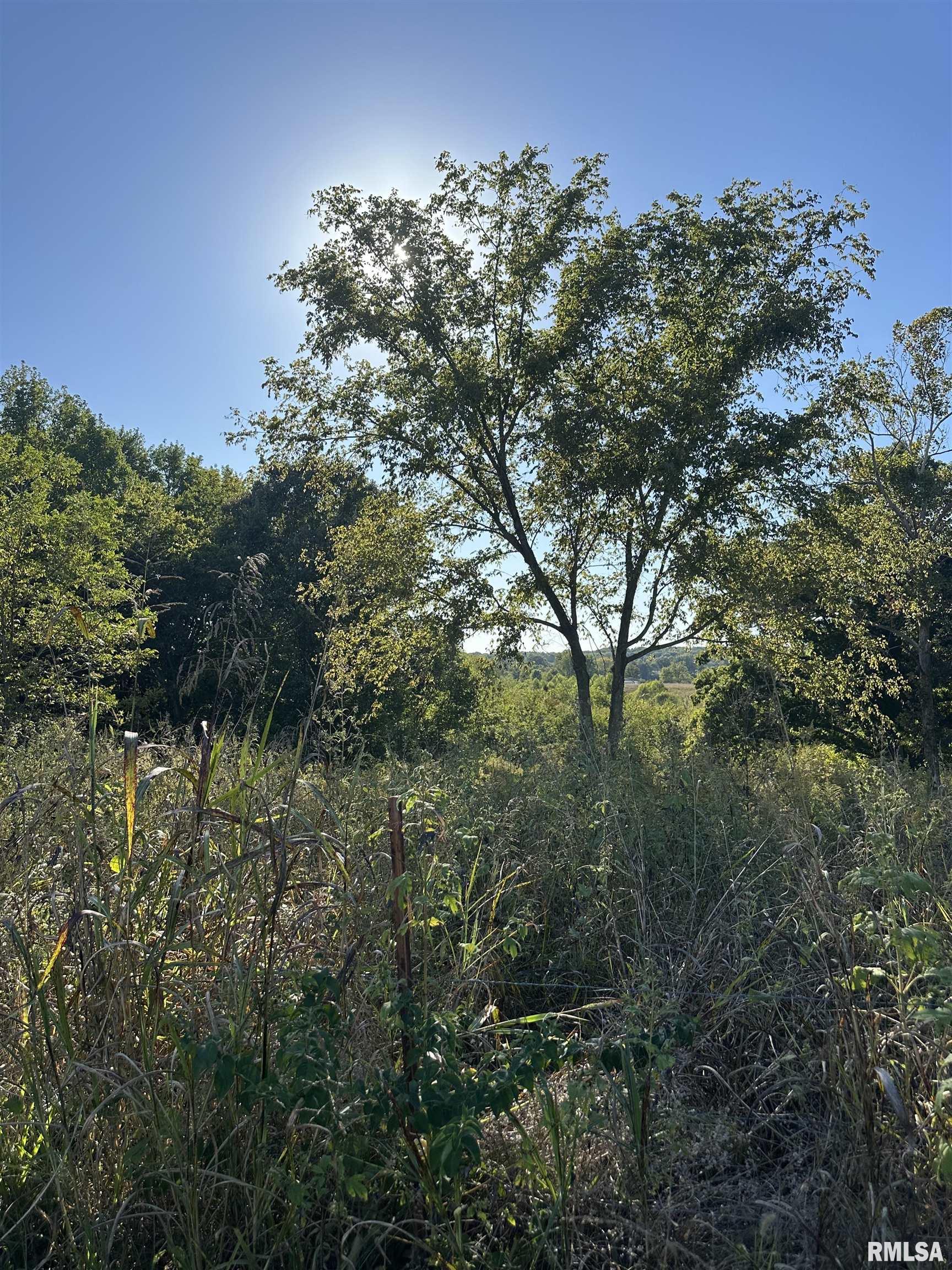 000 Center Church Road Villa Ridge IL