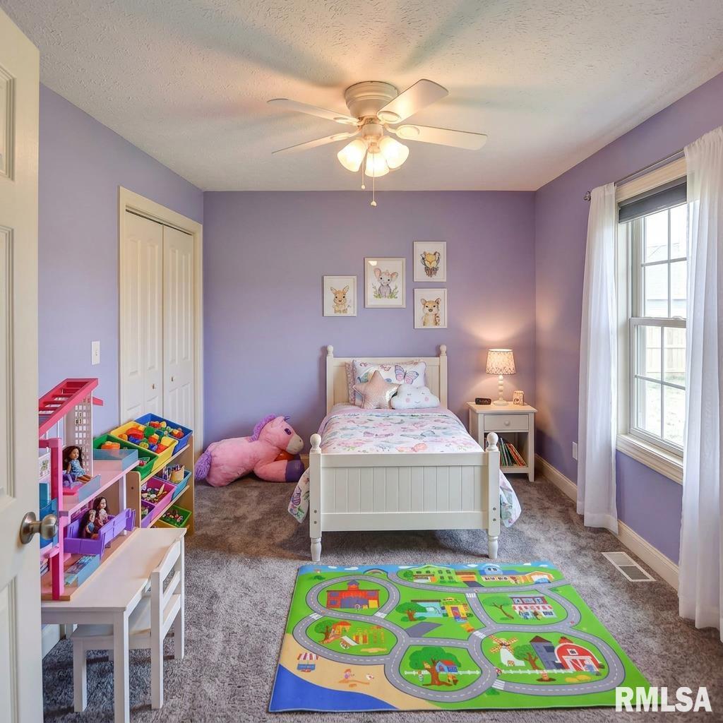 400 N PARK Street Rochester IL