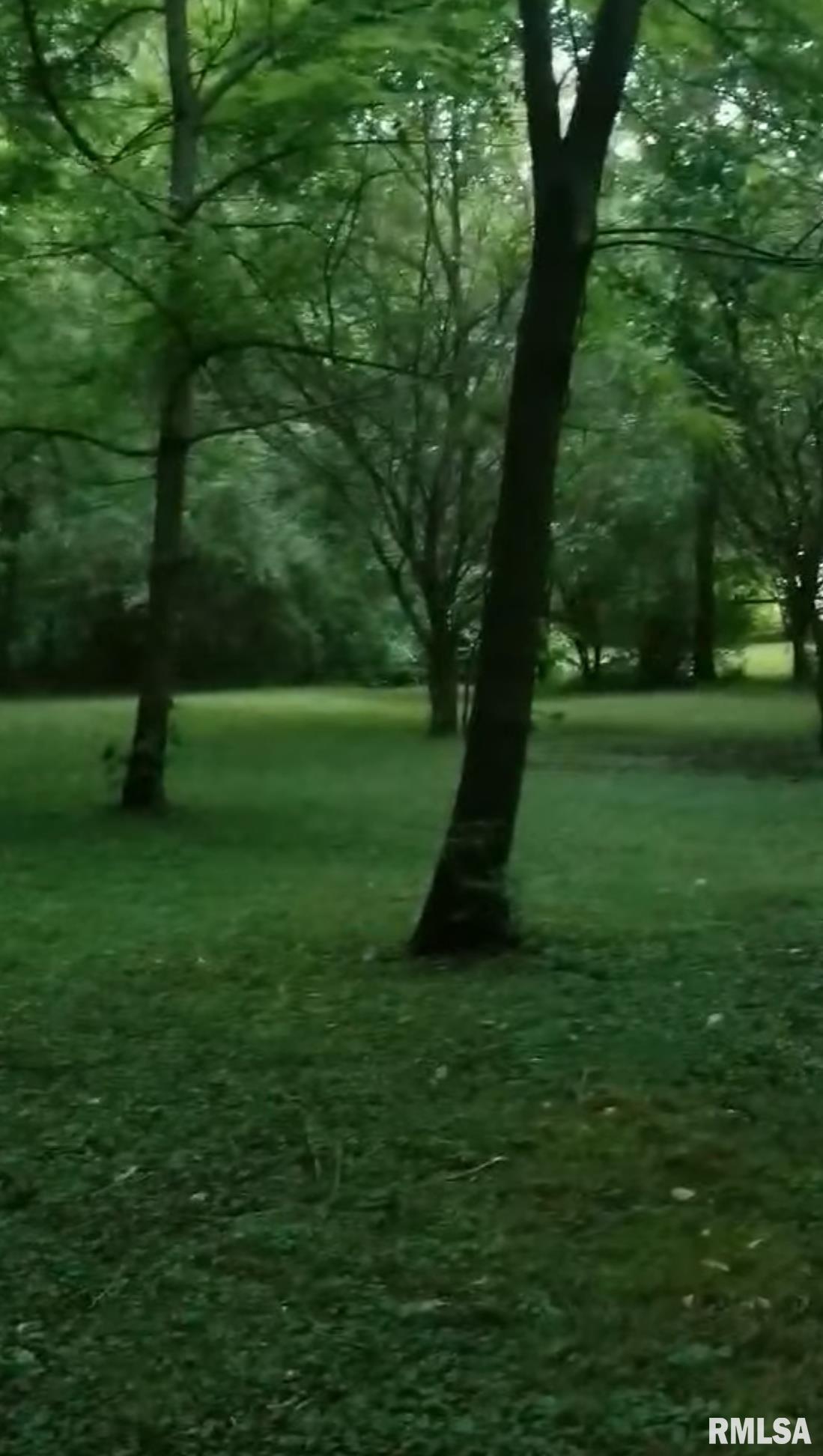 ELIZABETH Street Illiopolis IL