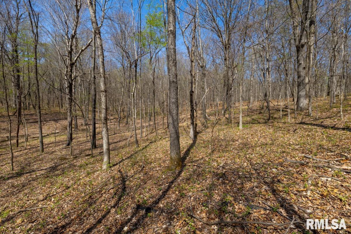 5504 MARION Road Metropolis IL