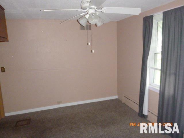 473 W VINE Street Canton IL