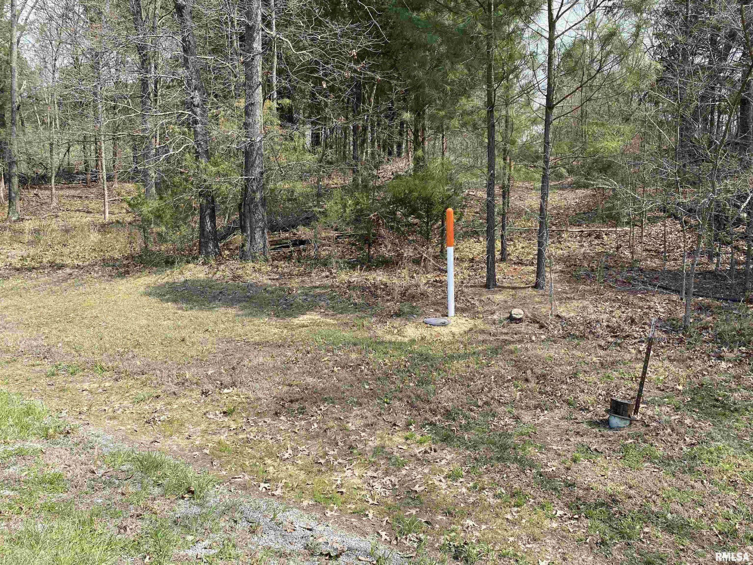 396 & 399 Parrish Ridge Road Goreville IL