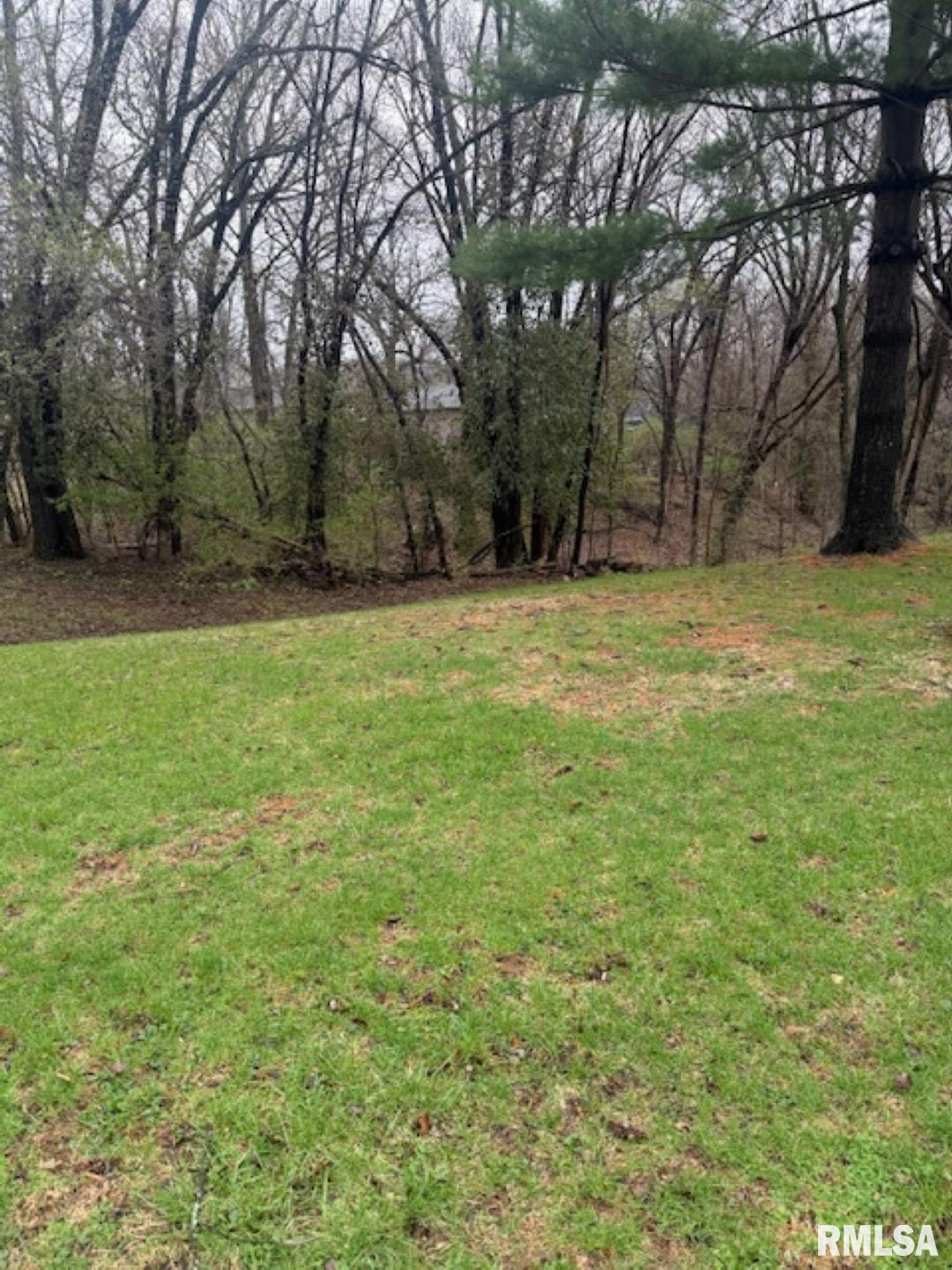 129 & 131 EDGEHILL Avenue Creve Coeur IL