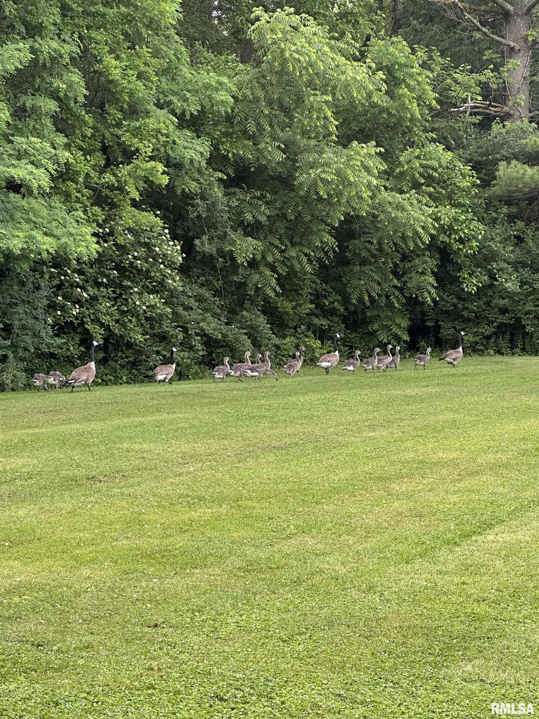 4606 S HANNA CITY-GLASFORD Road Hanna City IL