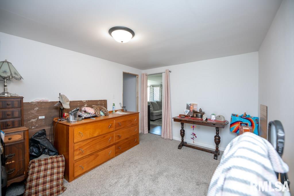 113 LAKEPOINT Drive Metamora IL