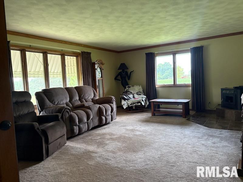 18067 DEE MAC Road Mackinaw IL