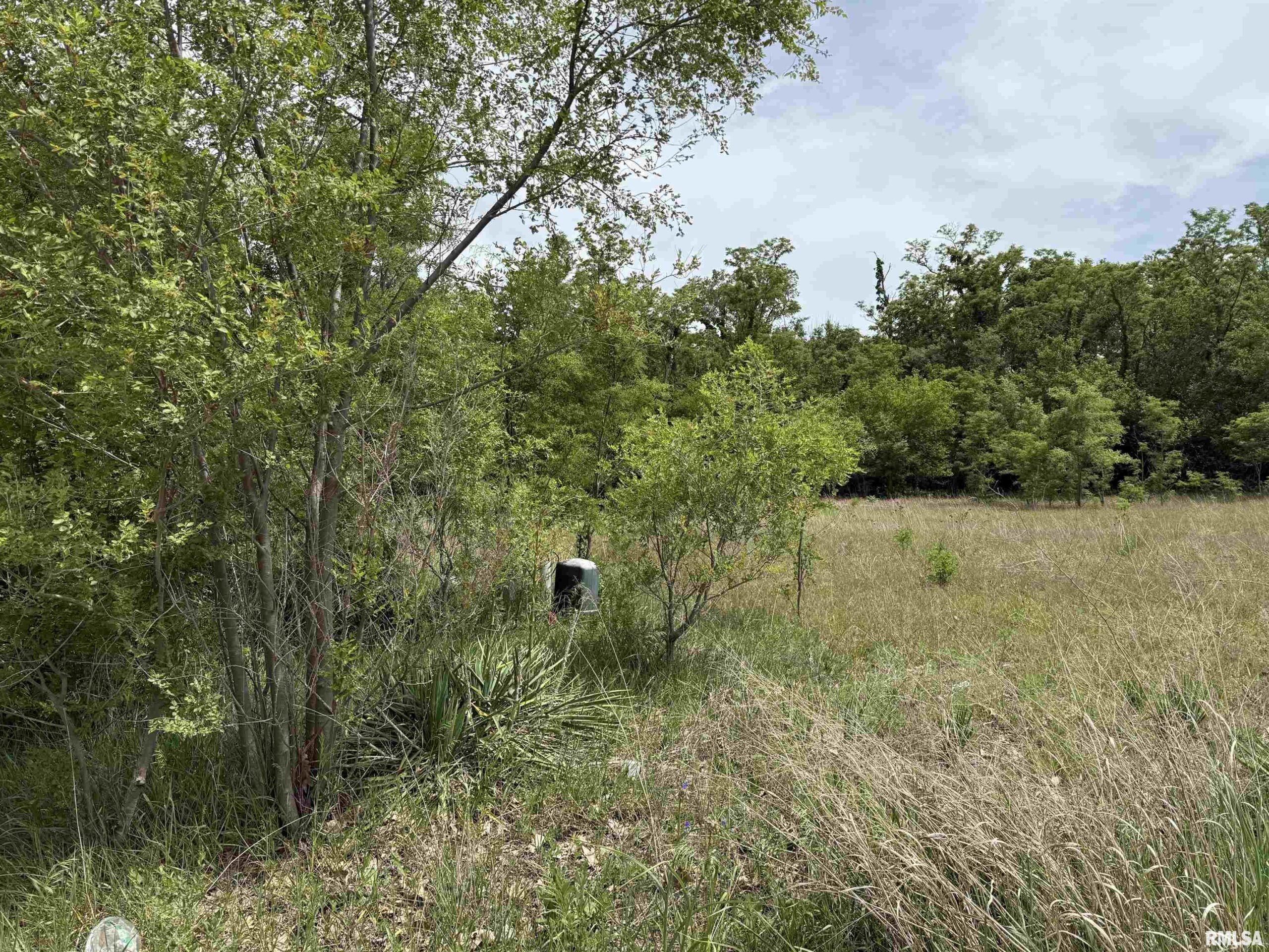 0 S ROBINIA Grove Havana IL