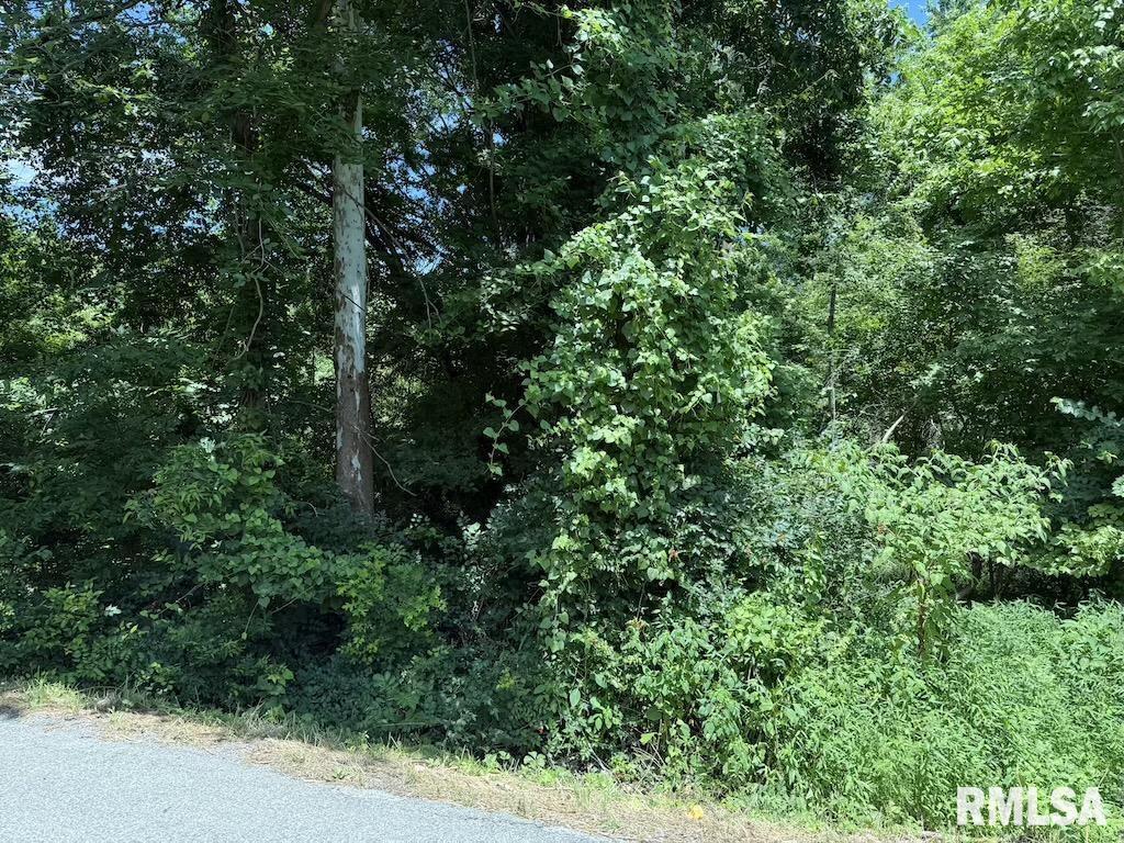 3126 VERMONT Road Carterville IL