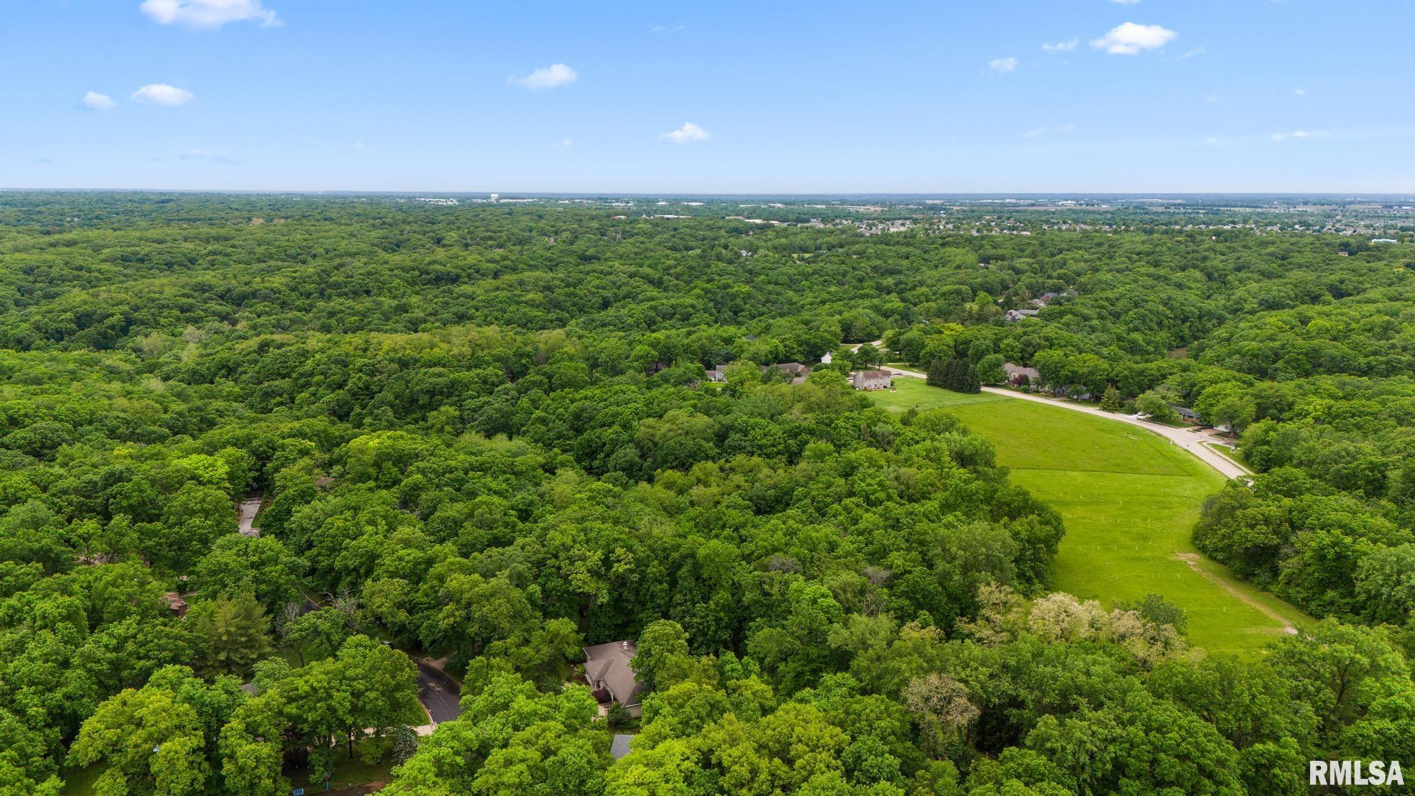 12227 N WOOD RIDGE Court Dunlap IL