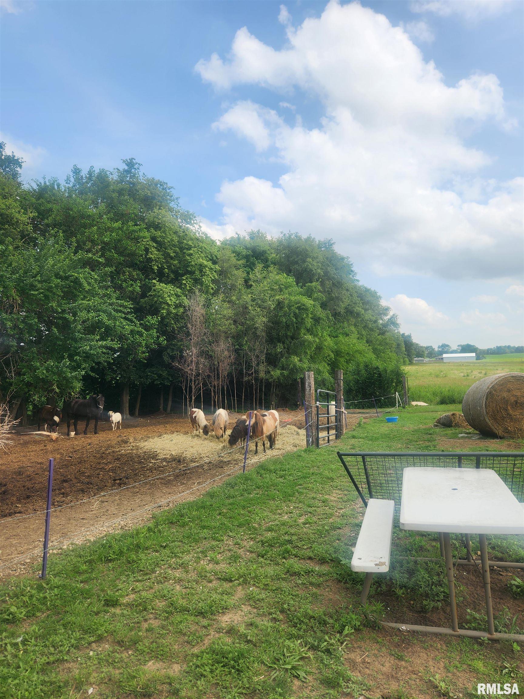 10356 N MANITO Road Manito IL