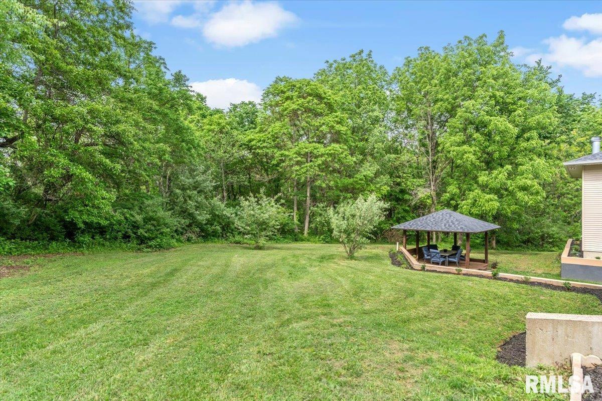 19094 TIMBERLINE Lane Petersburg IL