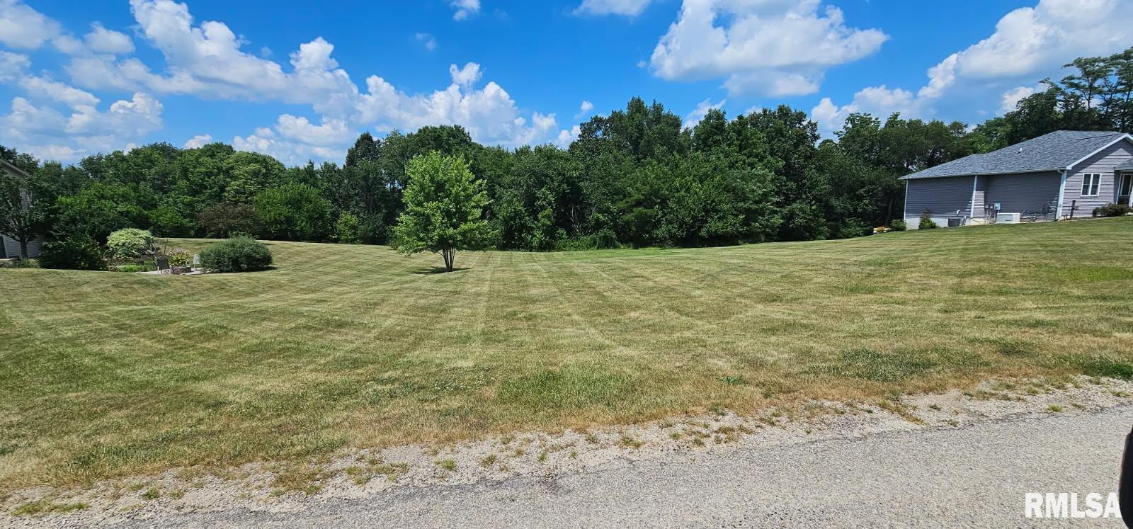 203 COTTONWOOD Court Williamsfield IL