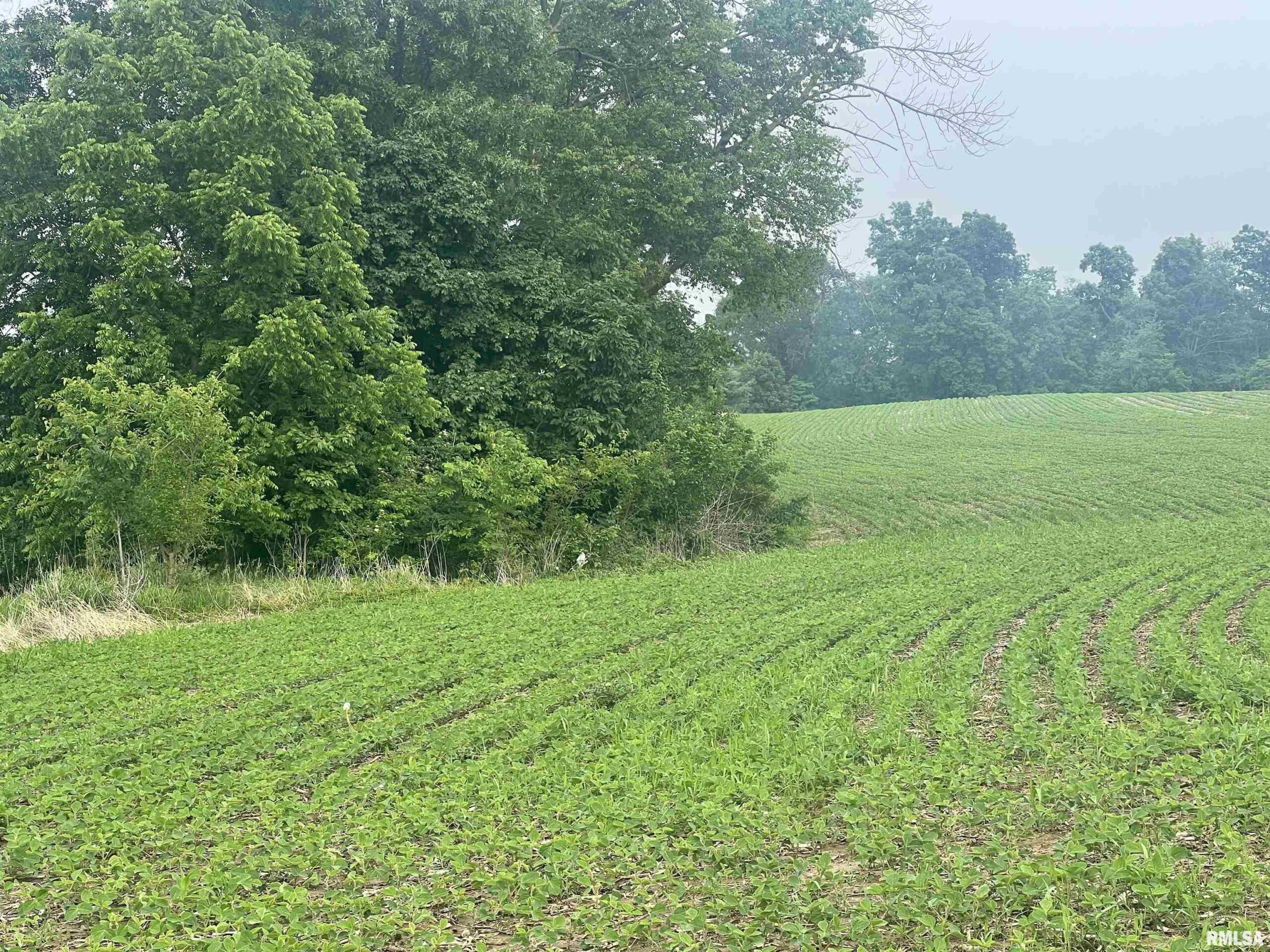 14953 E GRAIN BIN Road Lewistown IL