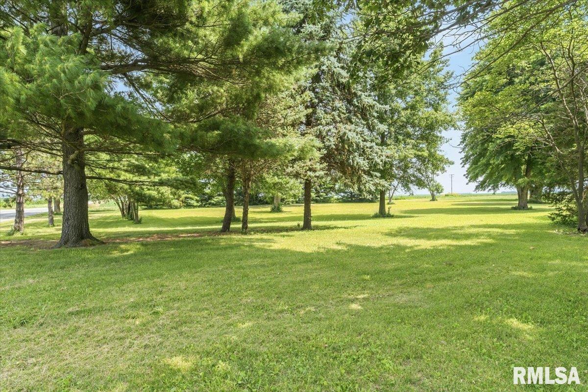 17124 Engle Street Athens IL