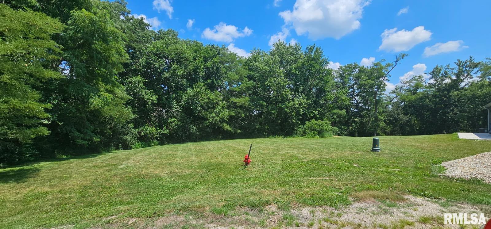 301 COTTONWOOD Court Williamsfield IL